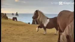 Envoie à tes pote