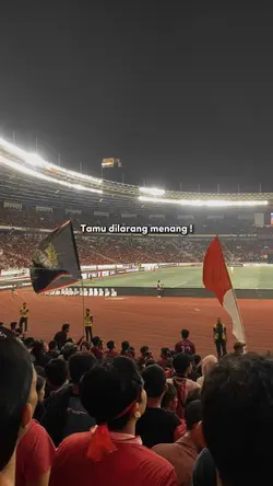 Story timnas