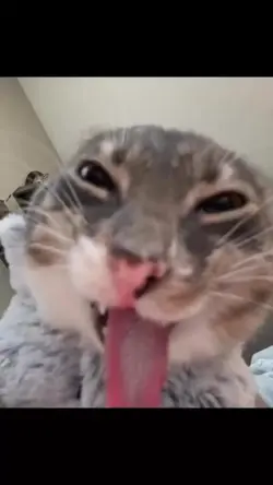 ajaaa