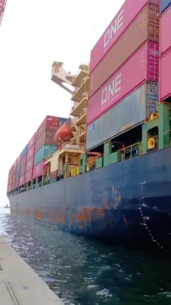 M/V BRIDGE