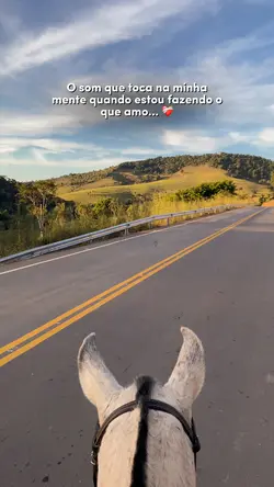 O som que toca 