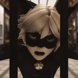 CAT NOIR AGAIN