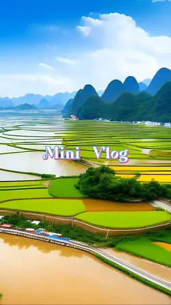 Mini Vlog