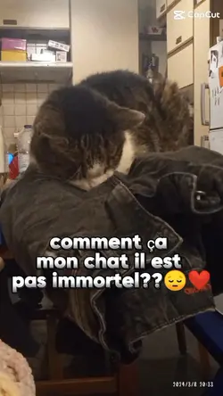 mon bébé...