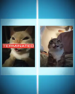 terminated edit
