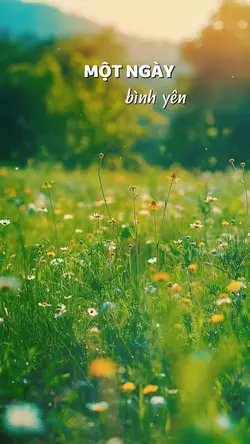 ngày bình yên 4 ảnh