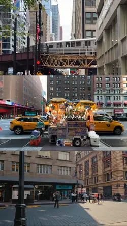 3 Grid 1 Frame