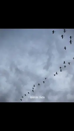 Tu aake dekh le