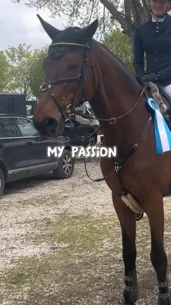 Horse riding 