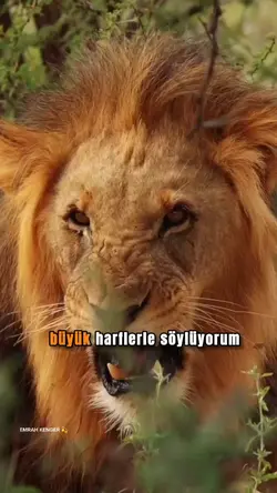HAYATLA SAVAŞTAYIM