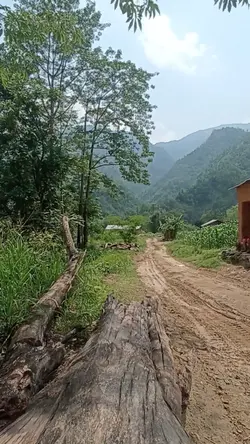 cinema cinema