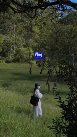 Vlog