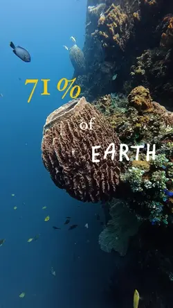 71% of earth’s water