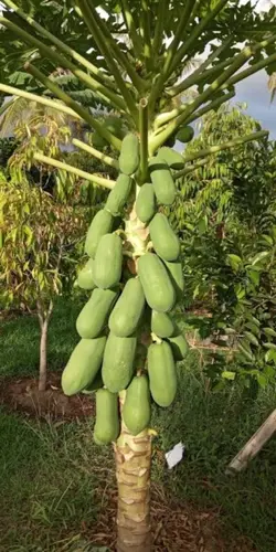 kata kata 
