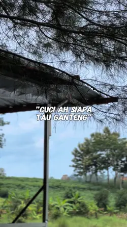 CUCI AH SIAPA TAU
