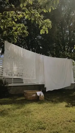 Vlog