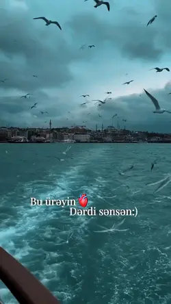 Trend slow motion