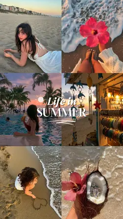 Life in Summer