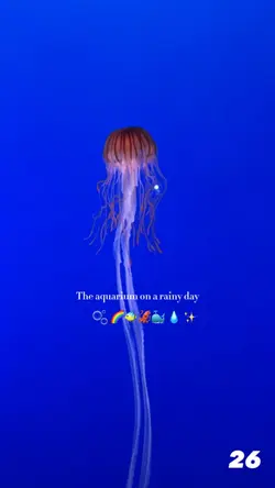 水族館