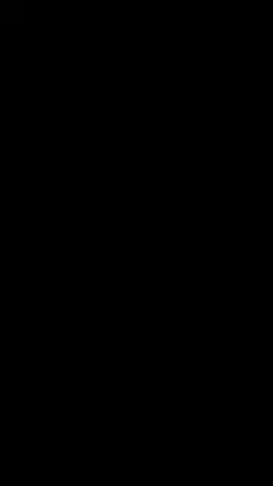 Types of Bows 