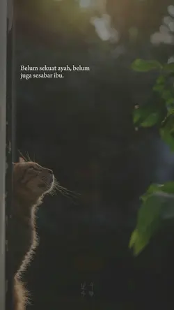 story wa