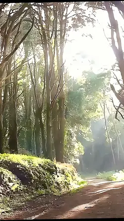 Nature Edit