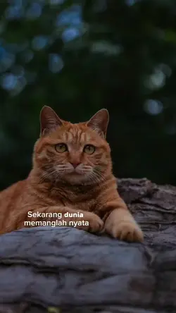 MENJADI ASING