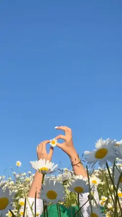 4 videos