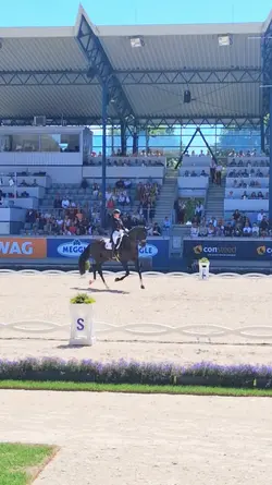 dressage slomo