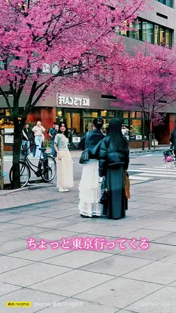 Tokyo phồn hoa nhàng