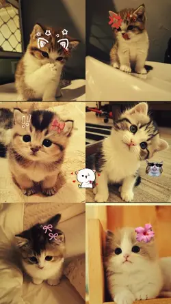 cuteeee pie
