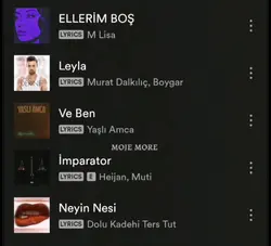 Elvin istek 