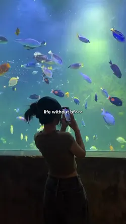 life without bf