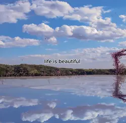 Life Is Beautiful ❤️