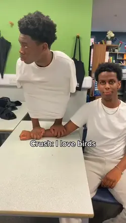I love Birds