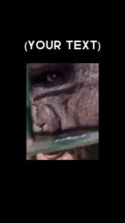 Monkey meme