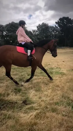 Fade > slowmo