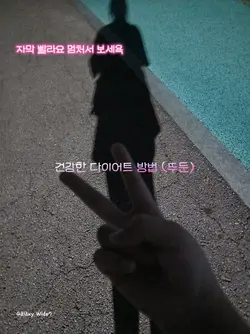 다이어트 법