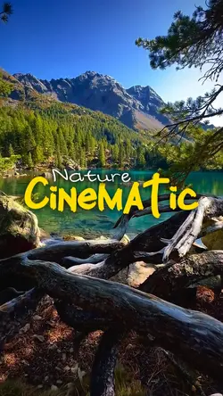 Cinematic nature