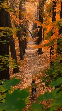 autumn