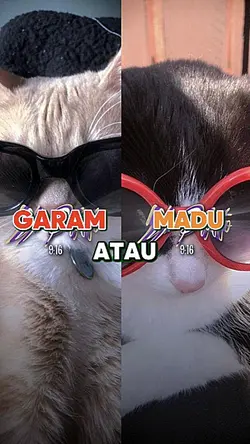 jj garam atau madu