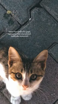 kata kata