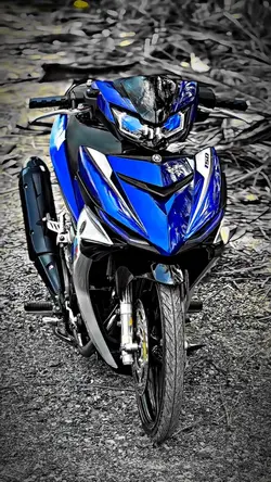 Mẫu xe🇻🇳