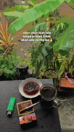 Story wa