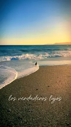 Motivacional