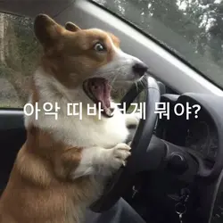 넘 존잘과 존예를 봐 놀란 댕...