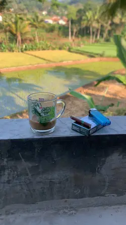 Suasana kampung