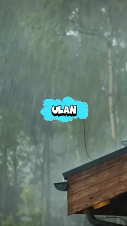 Ulan 😂