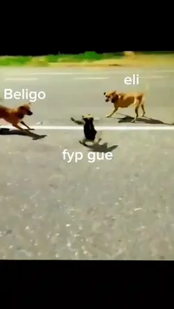 trend beligo viral