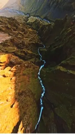19 videos or photos